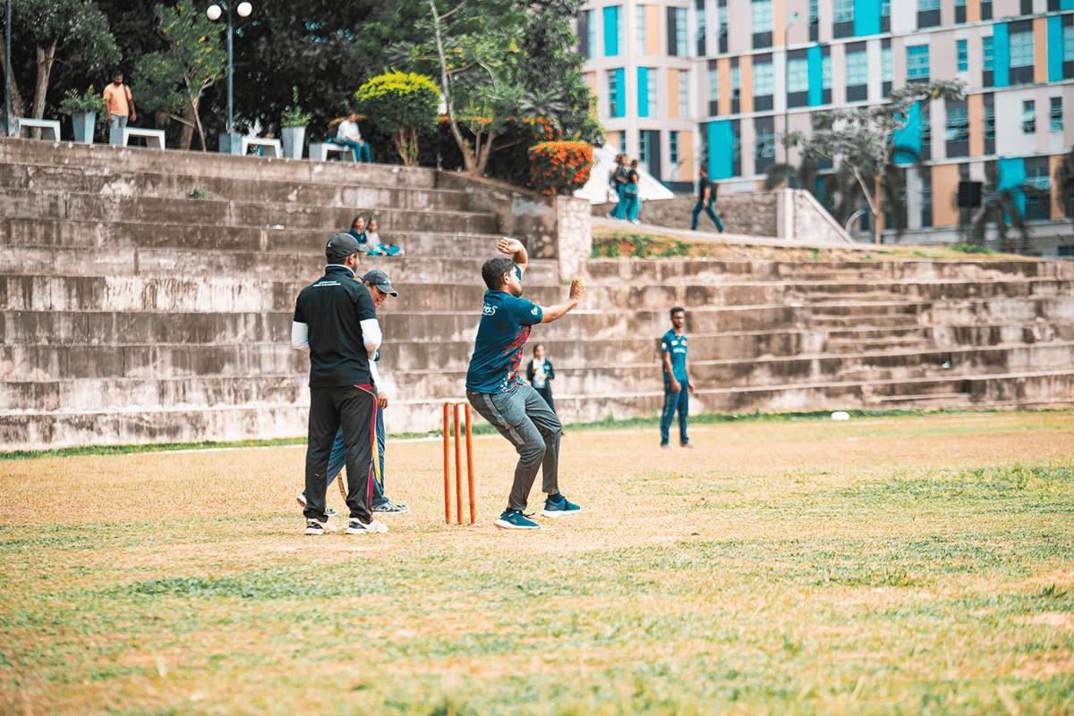 Cricket Gallery