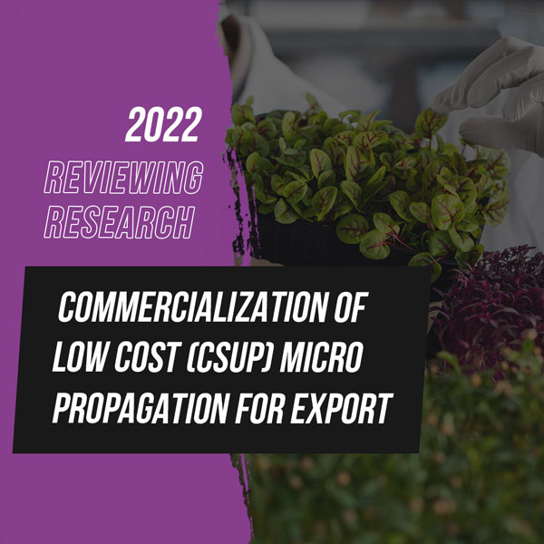 Commercialization of low cost (CSUP)Micro propagation for export