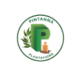Pintanna Plantations (Pvt) Ltd