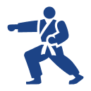 Taekwondo