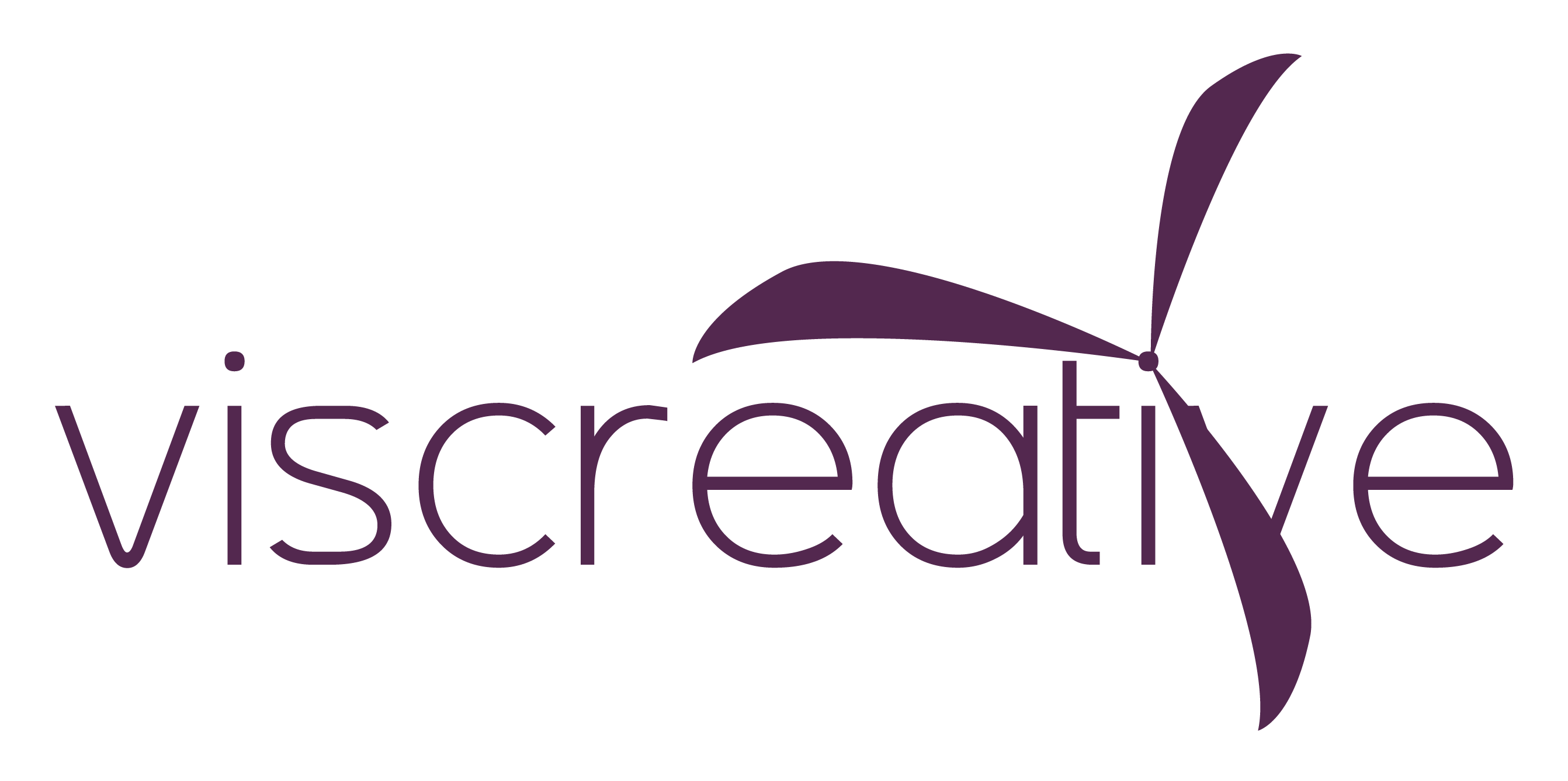 Visata Creative company logo