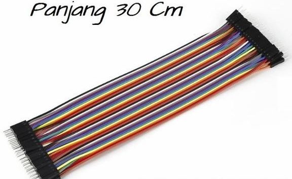 Dupont Jumper Cable 30 Cm