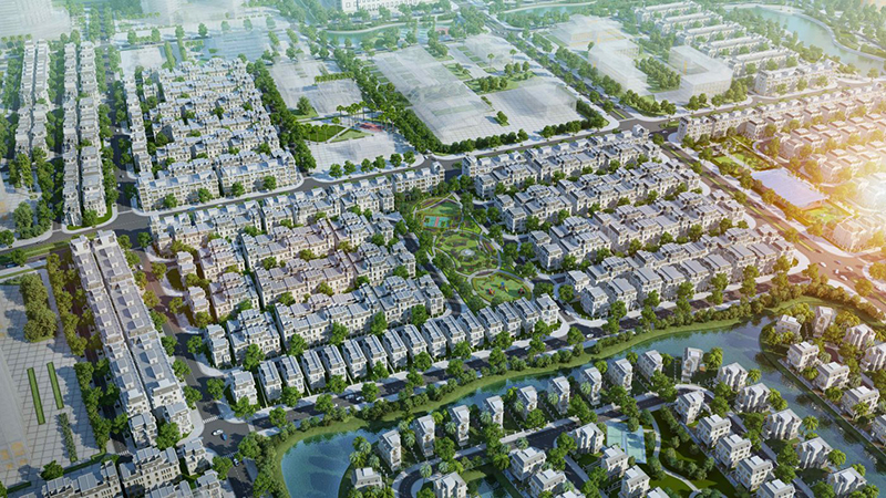 Hoa Hồng