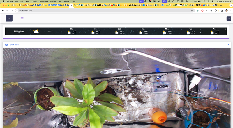Raspberry pi cam live feed