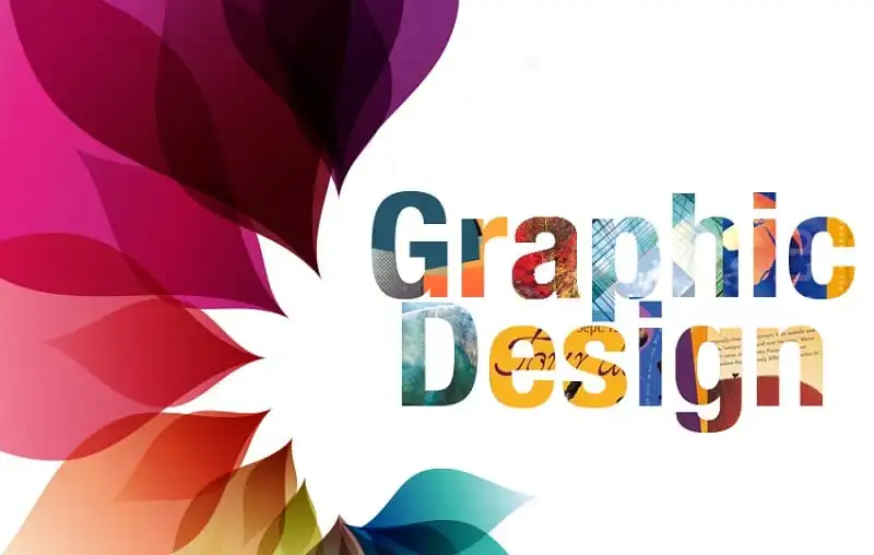 professional web design company										