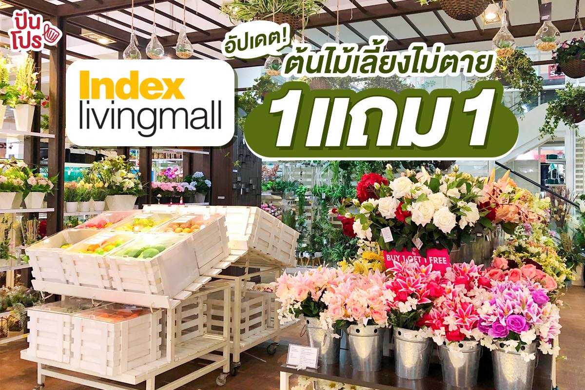 Index Living Mall ให้ห้องเป็นสีเขียวไสว! รวมต้นไม้หลากชนิด ซื้อ 1 แถม 1 Index Living Mall ให้ห้องเป็นสีเขียวไสว! รวมต้นไม้หลากชนิด ซื้อ 1 แถม 1