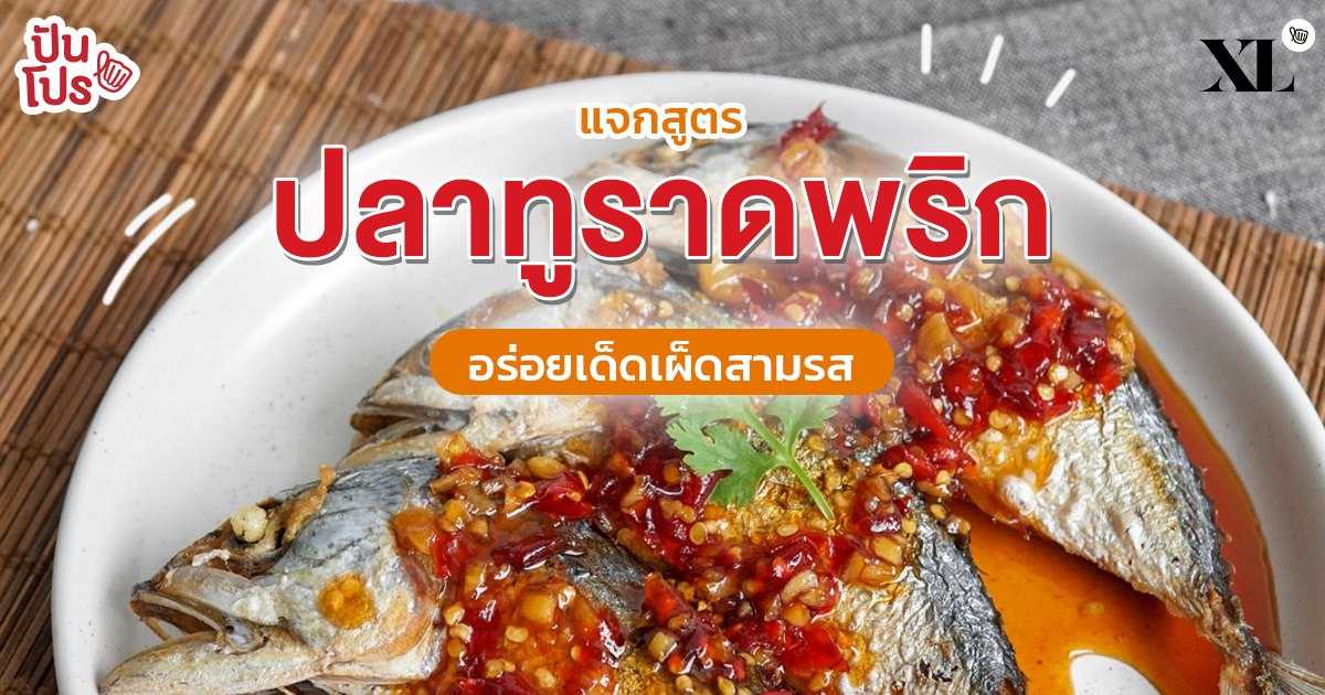 ปลาทูราดพริก เปิดตำรับอาหารไทย ทำง่าย อร่อยด้วย!! ปลาทูราดพริก เปิดตำรับอาหารไทย ทำง่าย อร่อยด้วย!!