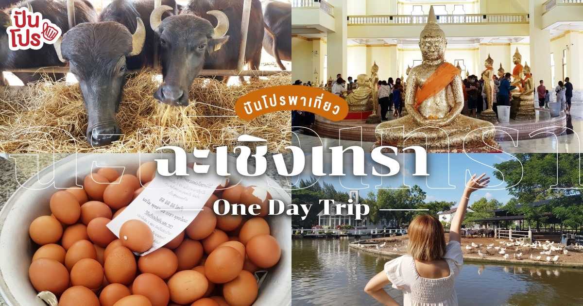 เปิดทริปฉะเชิงเทรา! กราบไหว้หลวงพ่อโสธรขอให้ค้าขายร่ำรวย พร้อมลุยฟาร์มถ่ายรูปชิคๆ เปิดทริปฉะเชิงเทรา! กราบไหว้หลวงพ่อโสธรขอให้ค้าขายร่ำรวย พร้อมลุยฟาร์มถ่ายรูปชิคๆ