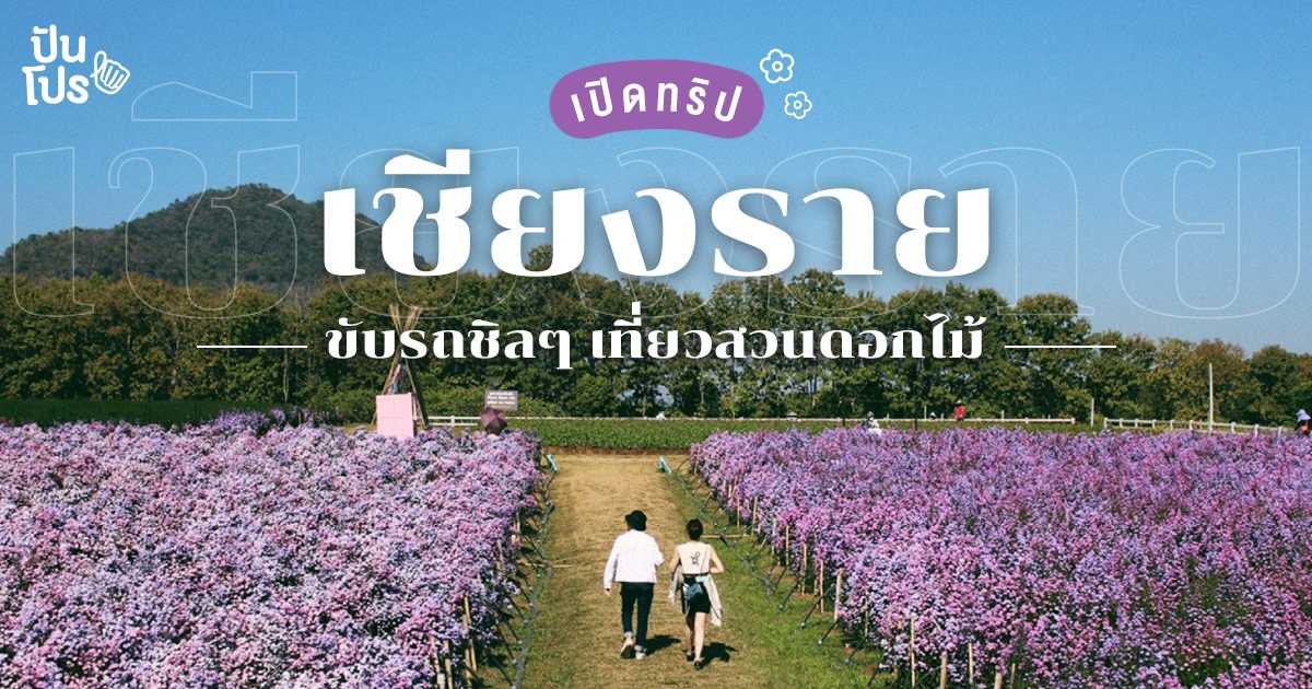 เปิดทริปเชียงราย เที่ยวสวนดอกไม้ พร้อมเช็กอินคาเฟ่ยอดฮิต! เปิดทริปเชียงราย เที่ยวสวนดอกไม้ พร้อมเช็กอินคาเฟ่ยอดฮิต!
