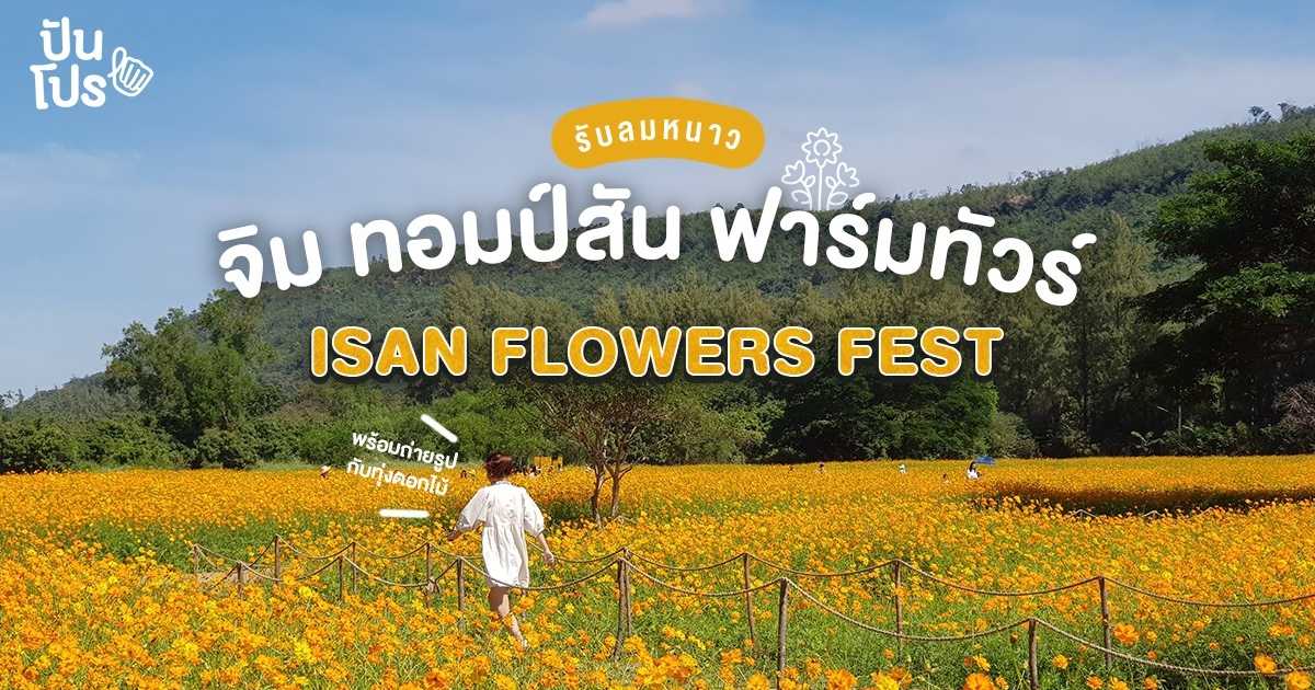 รีวิว Jim Thompson Farm 2563 ดอกไม้บาน อีสานม่วนซื่น ท่ามกลางอากาศหนาวประจำปี รีวิว Jim Thompson Farm 2563 ดอกไม้บาน อีสานม่วนซื่น ท่ามกลางอากาศหนาวประจำปี