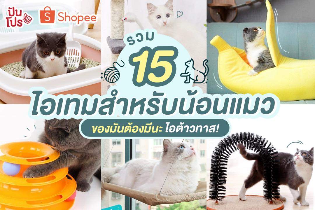 Shopee รวม 15 ของใช้น้องแมวสุดคิ้วท์ ให้มนุษย์ทาสเตรียมควักตังค์จ้าา!! Shopee รวม 15 ของใช้น้องแมวสุดคิ้วท์ ให้มนุษย์ทาสเตรียมควักตังค์จ้าา!!
