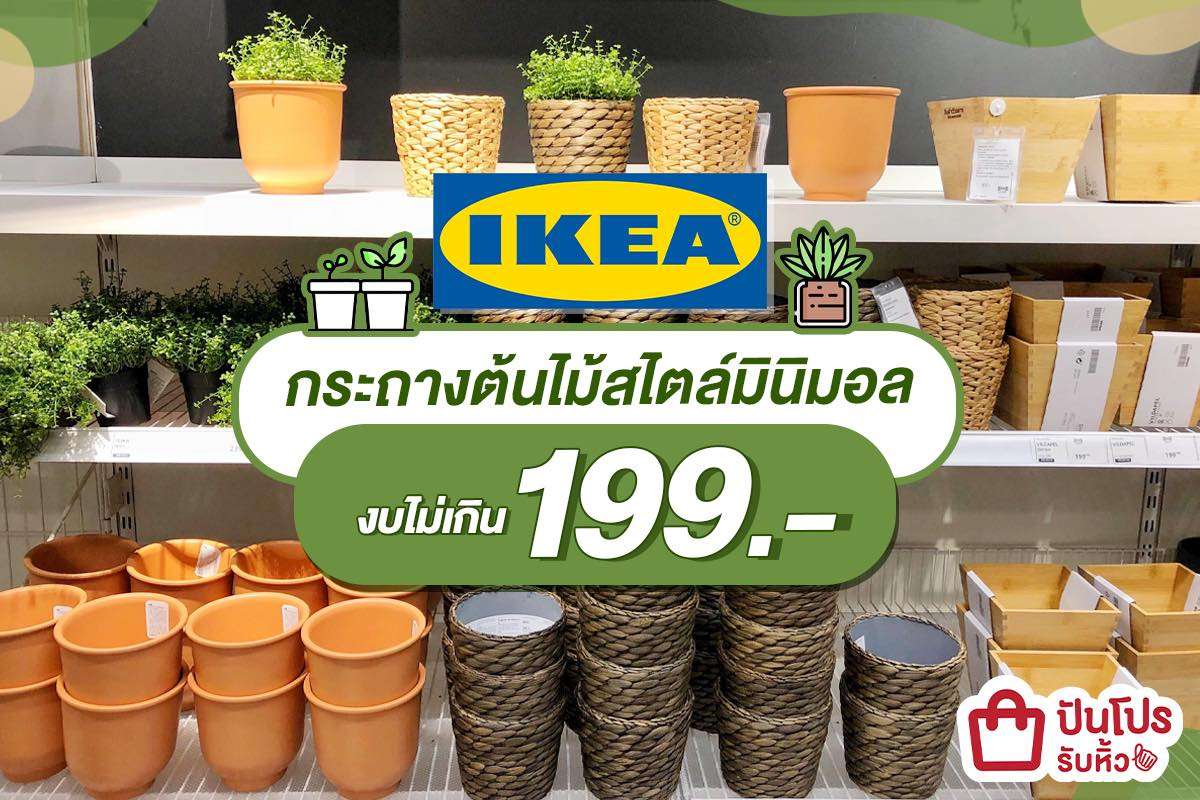 IKEA รวมกระถางต้นไม้เรียบเก๋ สไตล์มินิมอล ราคาไม่เกิน 199 บาท IKEA รวมกระถางต้นไม้เรียบเก๋ สไตล์มินิมอล ราคาไม่เกิน 199 บาท