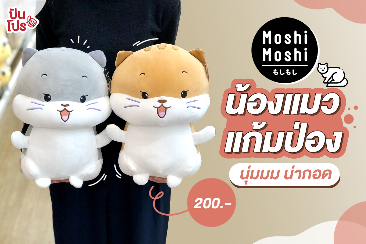 Moshi Moshi ตุ๊กตาแมวนุ่มนิ่ม แก้มป่องน่าหยิก ตัวละ 200 บาท Moshi Moshi ตุ๊กตาแมวนุ่มนิ่ม แก้มป่องน่าหยิก ตัวละ 200 บาท