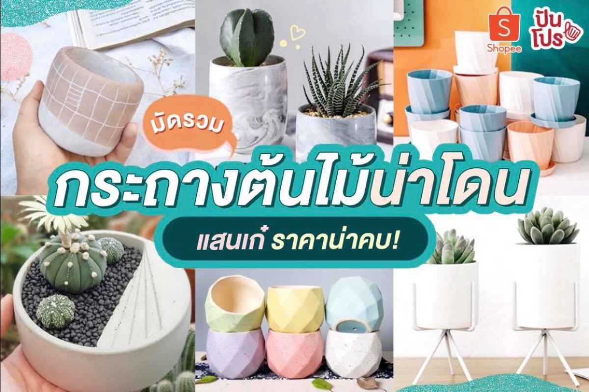 พาส่อง!! กระถางต้นไม้คิ้วท์ๆ ราคาถูกสบายกระเป๋าจ้าา พาส่อง!! กระถางต้นไม้คิ้วท์ๆ ราคาถูกสบายกระเป๋าจ้าา