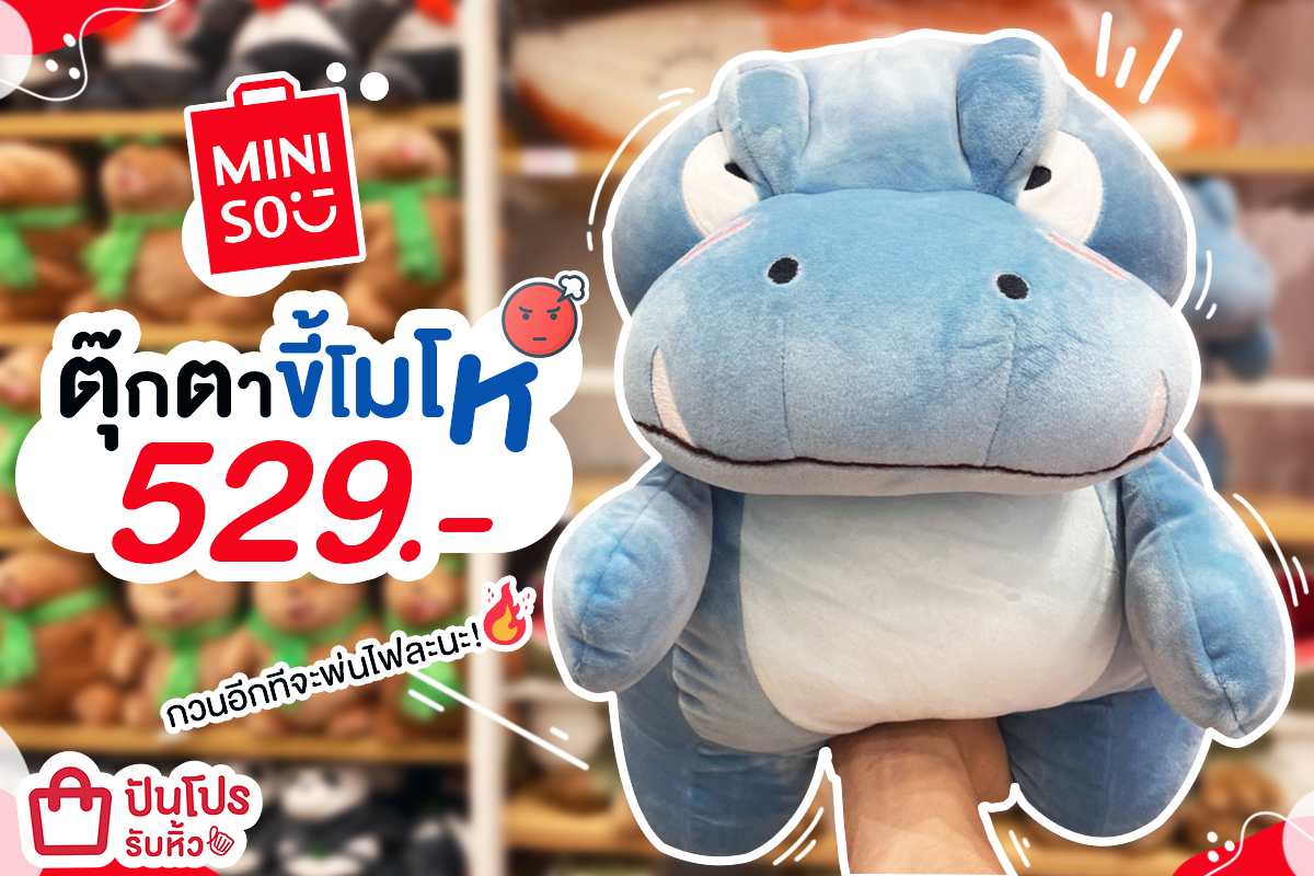 MINISO ตุ๊กตาขี้โมโห 529.-