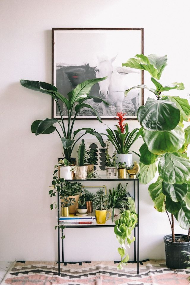 Feng Shui Apartemen