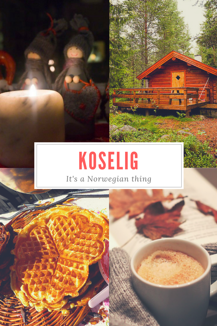 Koselig Life
