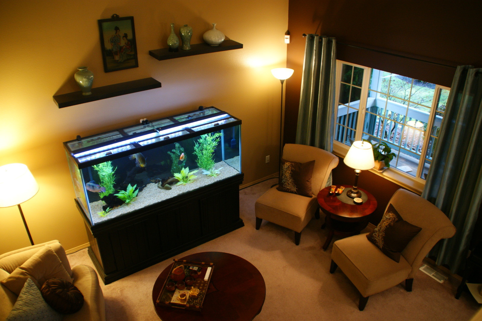 Aquarium Rumah
