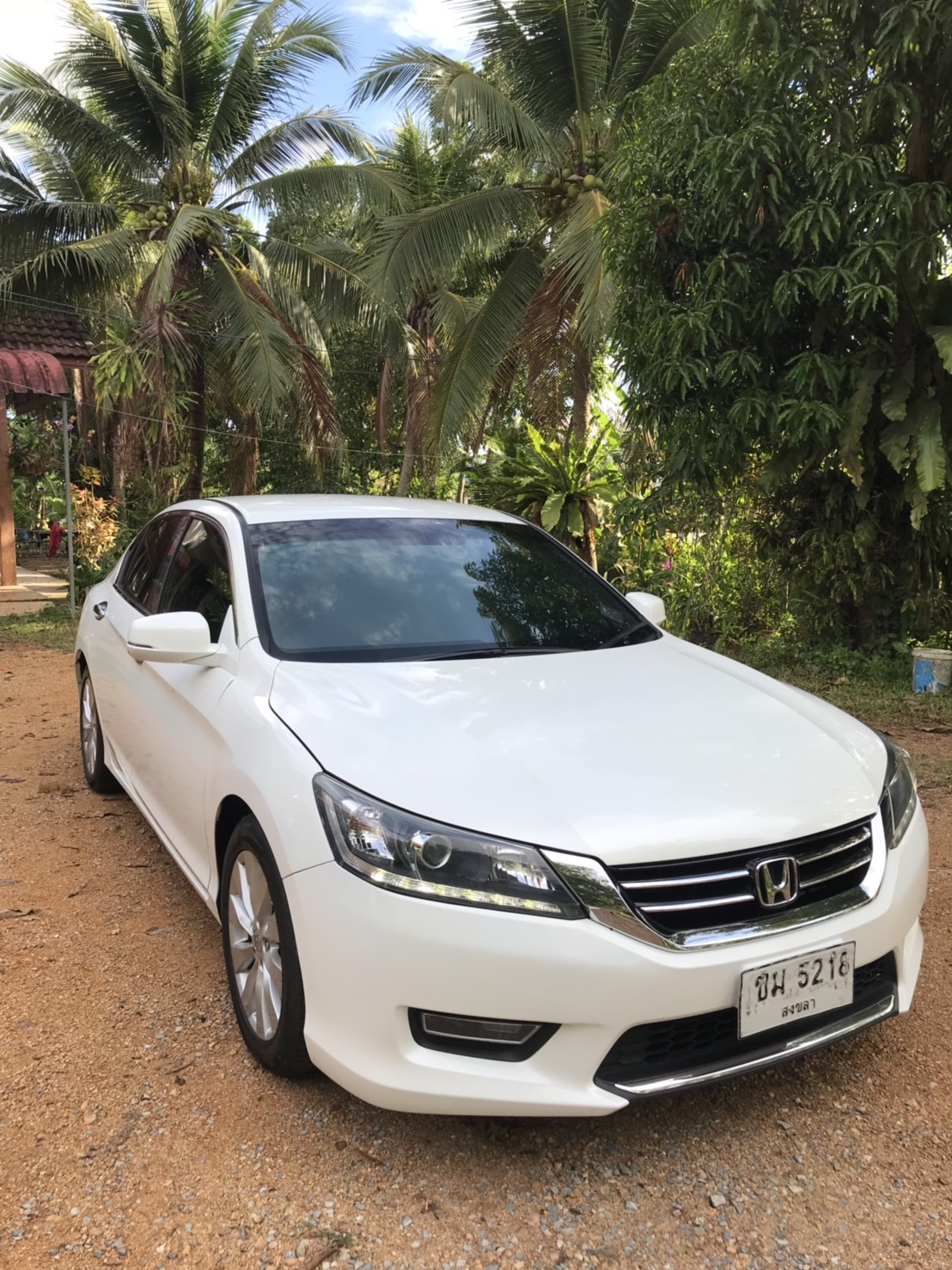 เช่ารถ รถเช่า หาดใหญ่ Honda Accord 2013