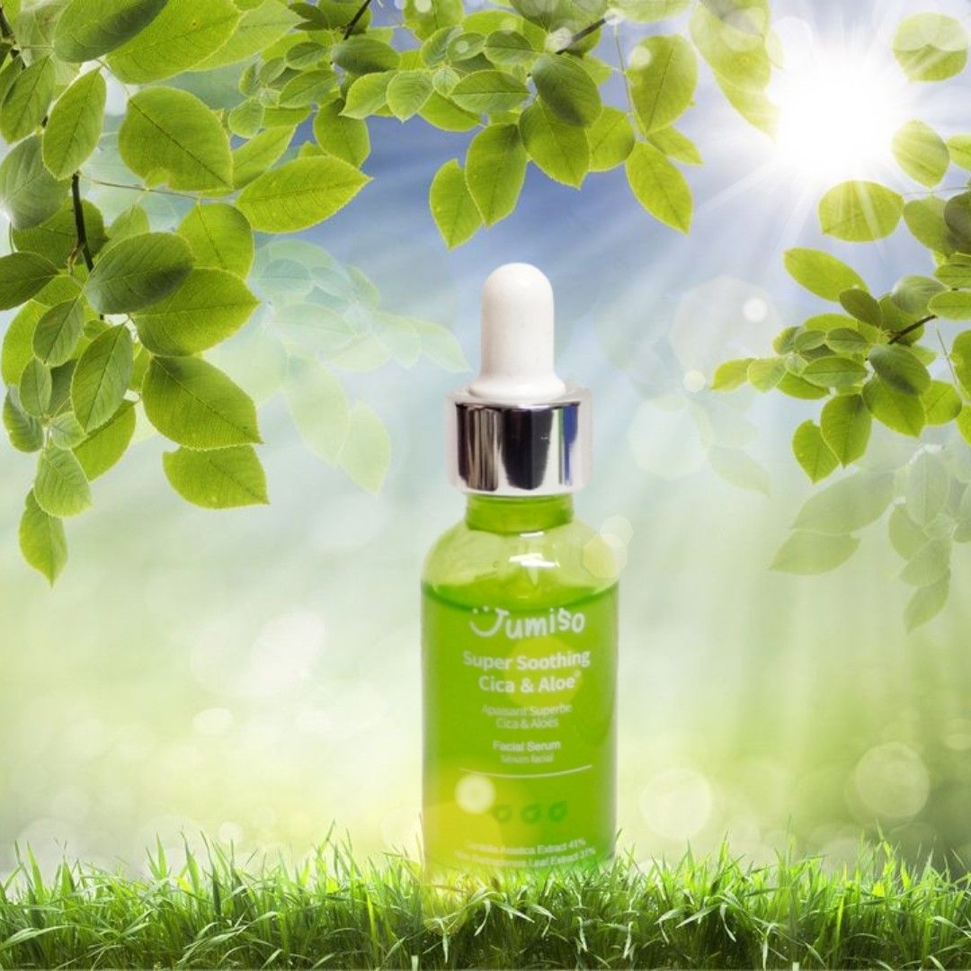 aloe vera plant gel Organically Produced Aloe Vera Gel - Aromatics International