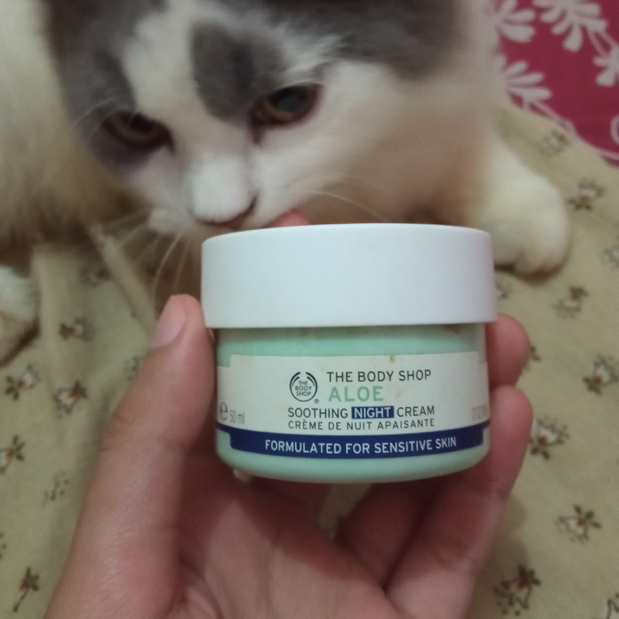 The Body Shop Aloe Soothing Night Cream - Beauty Review