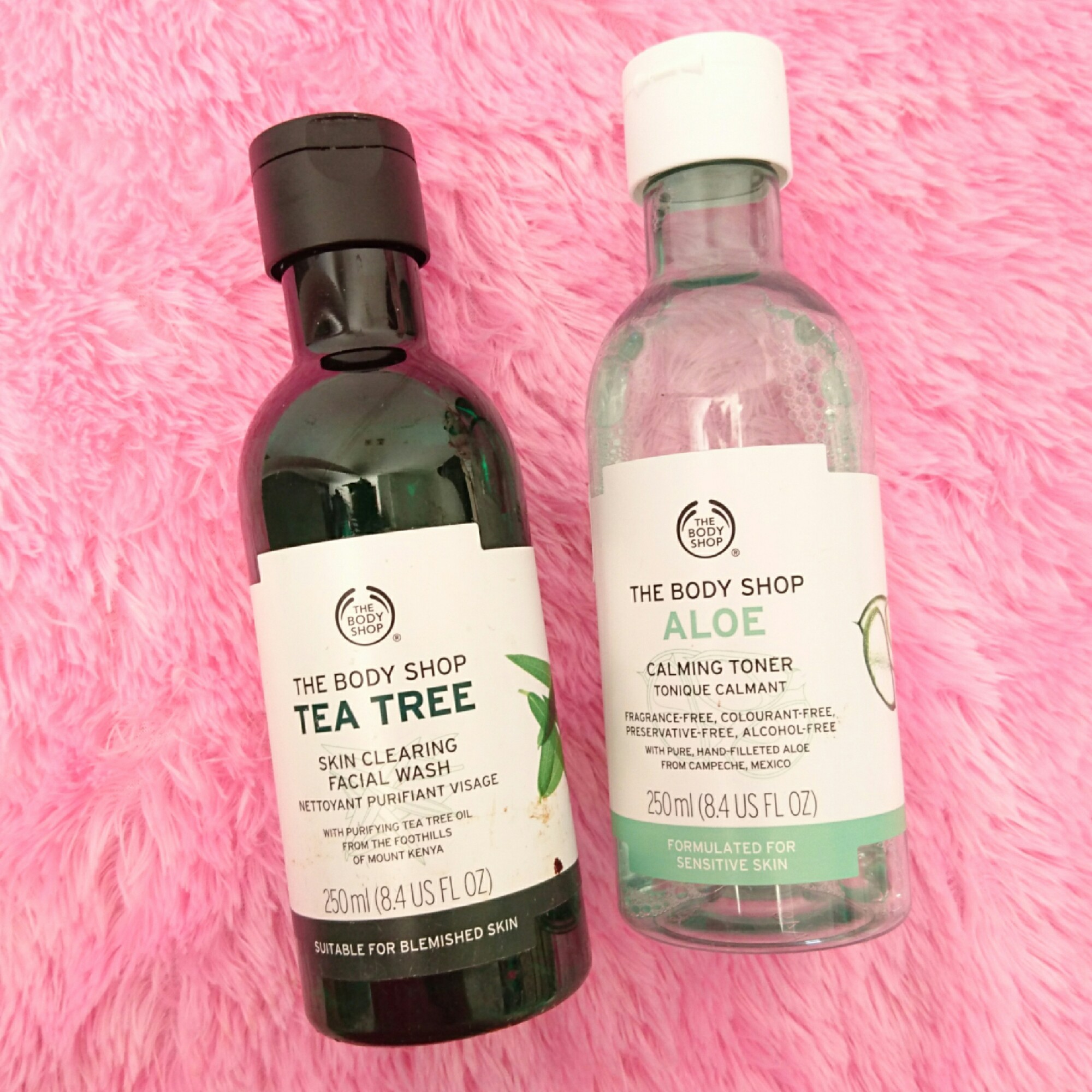 earthbath aloe oatmeal shampoo Earthbath Fragrance Free Oatmeal & Aloe Shampoo, 16-oz main image 0