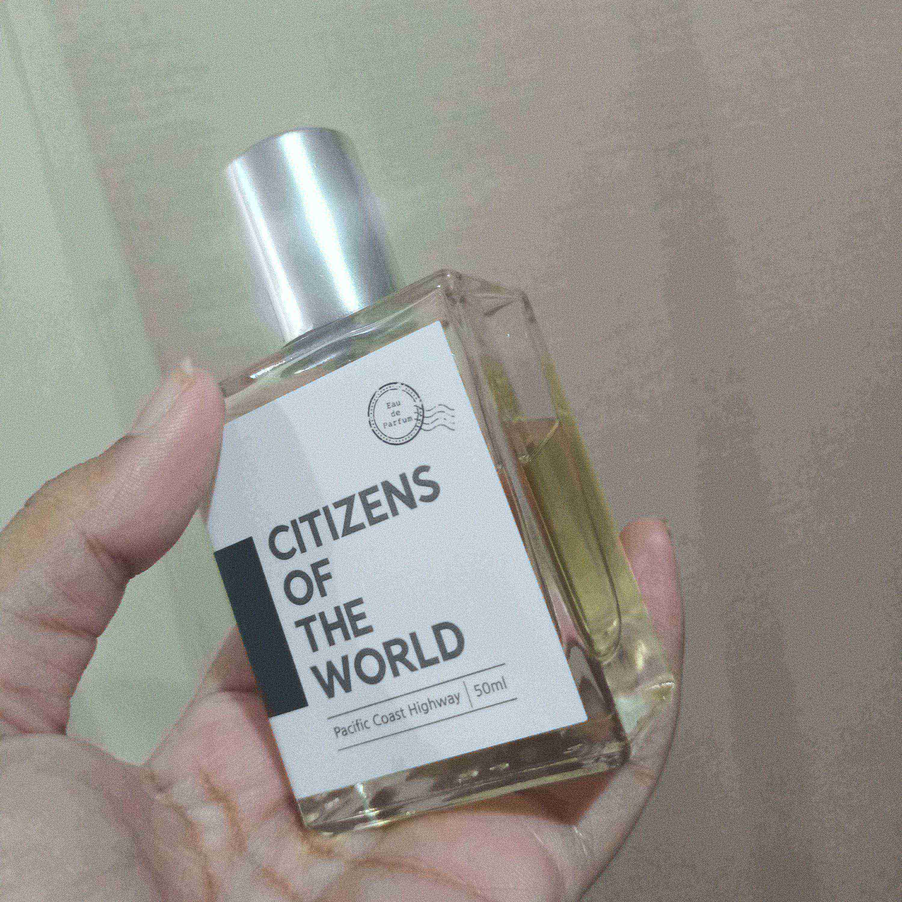 Citizens of The World Pacific Coast Highway 221231 821 1