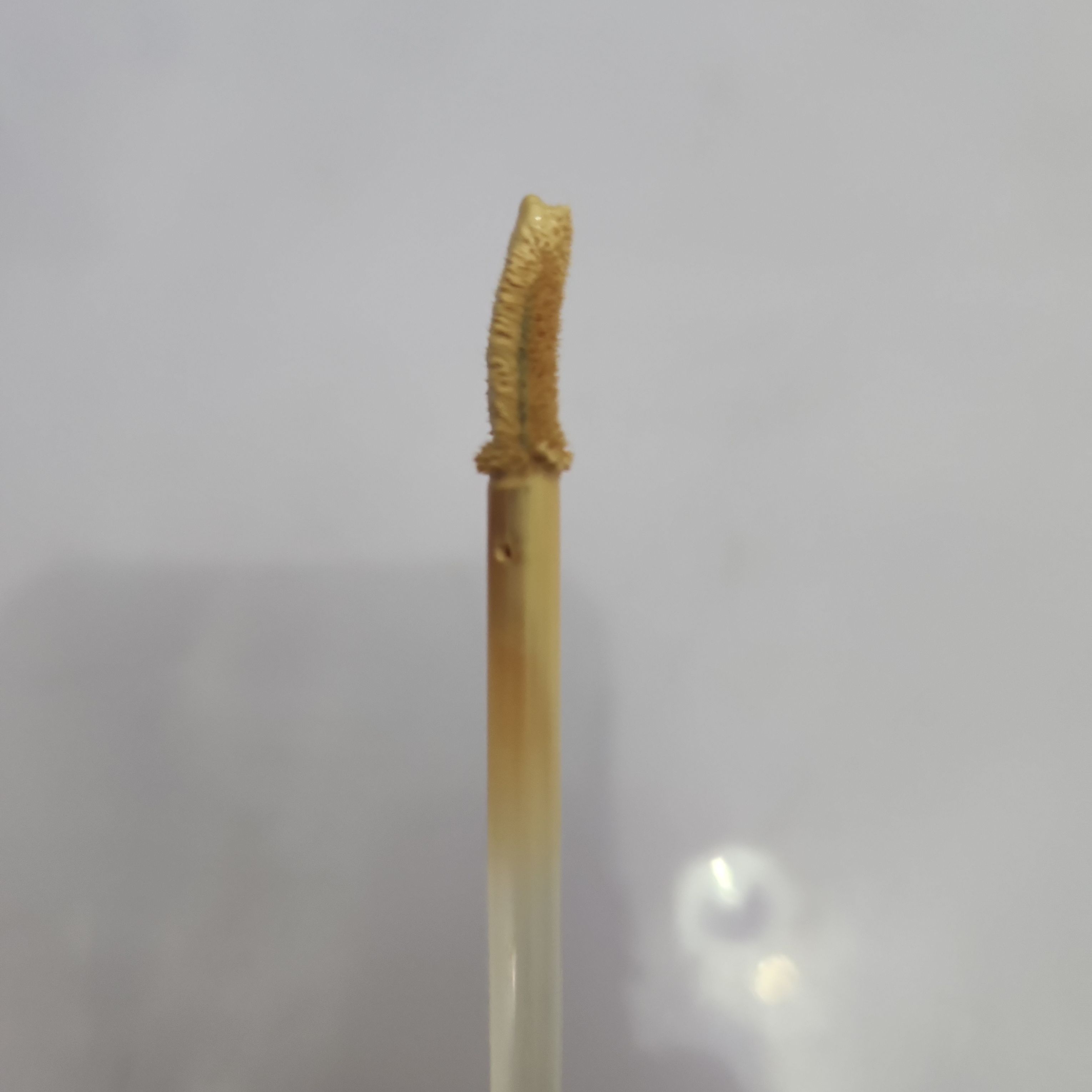 Rose All Day Cosmetics The Realest Lightweight Concealer imgfdn-de5cade4-af42-4f14-9bf8-635ab4865e7e-2491638 2