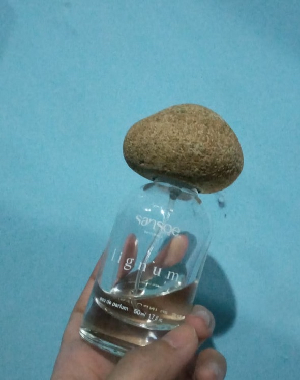 Sansoe Eau de Parfum imgfdn-6ab7faa1-aaf7-4f14-a2b5-54d02012215e-2473055 1