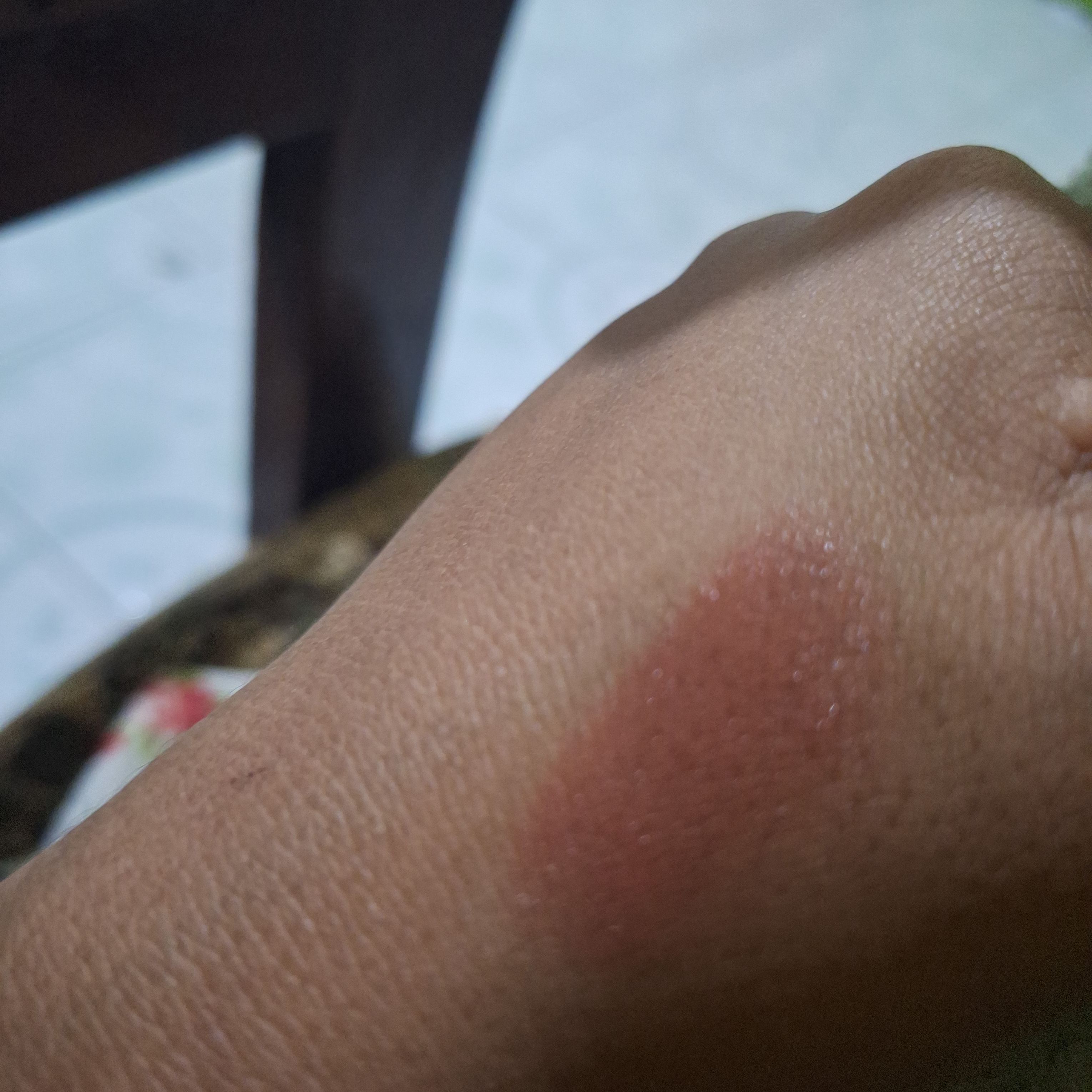 Somethinc Lipvocado Vegan Lip Treatment Tint  imgfdn-8c2add3e-ecfb-4523-8637-d8070e5f7d50-2497321 2