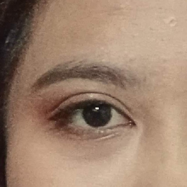 Wanderlust Quad Eyeshadow - 02 Twilight Woods imgfdn-a4d1ed67-6a10-4ee4-b6d1-77f69ab89fd0