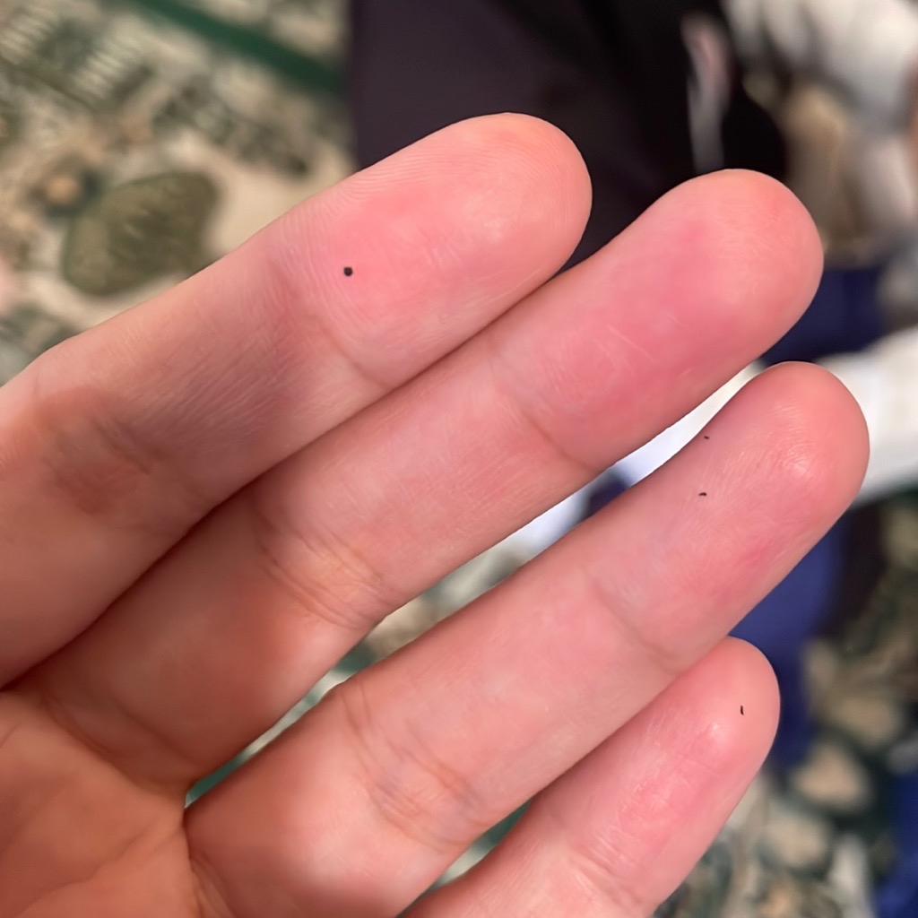 Noir HD Lash Tubing Mascara imgfdn-bc19ba51-e1e4-4f32-9b0b-dcbe8768444e