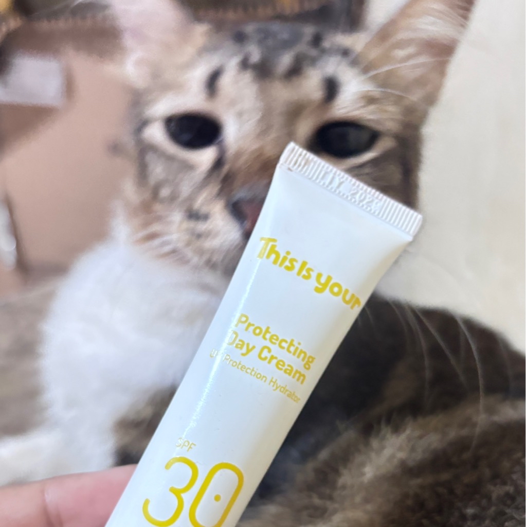 Protecting Day Cream SPF 30 PA++ imgfdn-38a51076-784d-4f40-a823-c172aac942f3