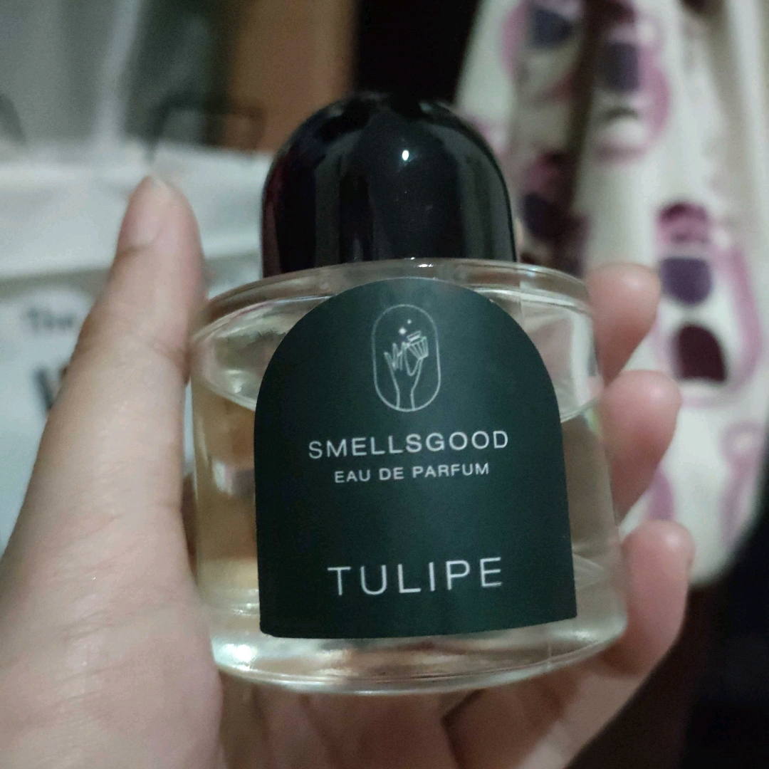 Tulipe imgfdn-858b9bdf-05b8-4a20-9f7e-28ce7321f9bd