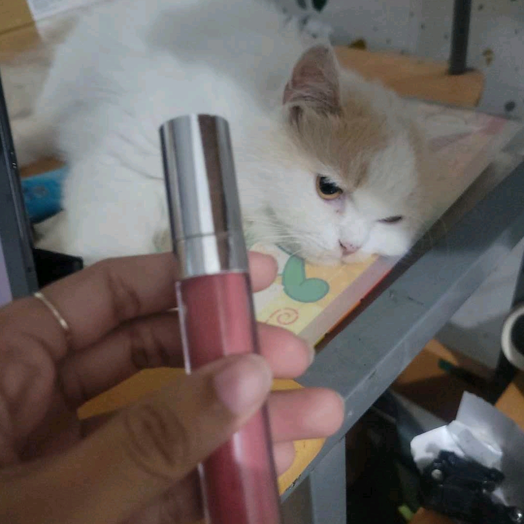 Exclusive Matte Lip Cream - 15 Pinky Plumise imgfdn-e1f1f7fb-1cd3-4634-9871-82f93c512584
