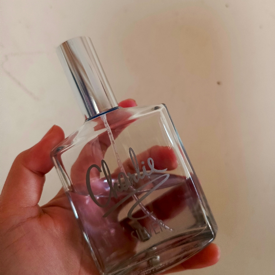 Charlie - Silver imgfdn-12203597-d294-41d7-81b6-d46255e34f5a