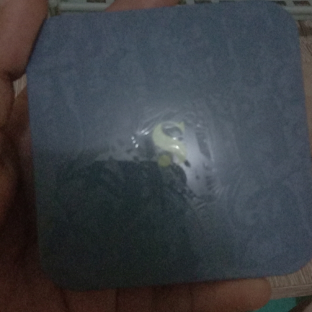 Hooman Breathable UV Cushion Cover SPF 35 PA++++ - Bijoux imgfdn-e6b880b1-7021-4d7d-999e-54c88fc35071