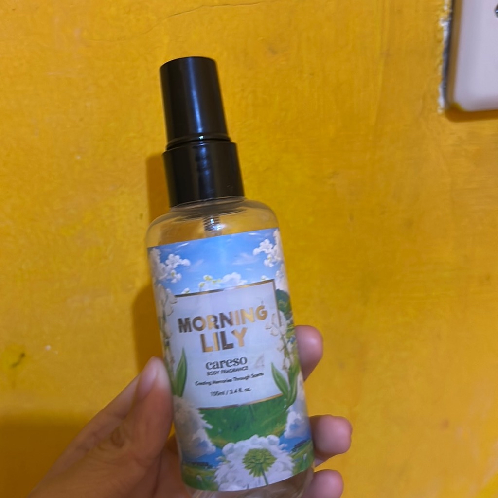 Morning Lily imgfdn-b7d1ba83-1ed6-4a26-81fc-30f805940a99