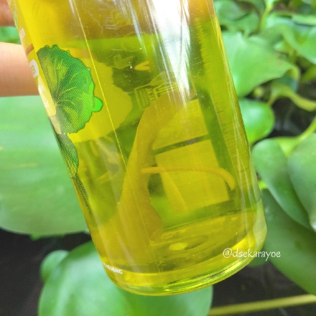 Centella Asiatica Acne Clear Hydrating & Calming Toner imgfdn-2d30dbfd-383f-4f00-a63f-1f7bd8f33130