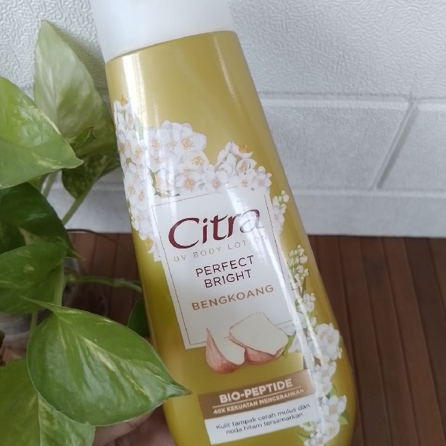 UV Body Lotion Bio-Peptide - Bengkoang Perfect Bright imgfdn-44249b3b-b0e4-45c8-b0a6-5183f9934df6