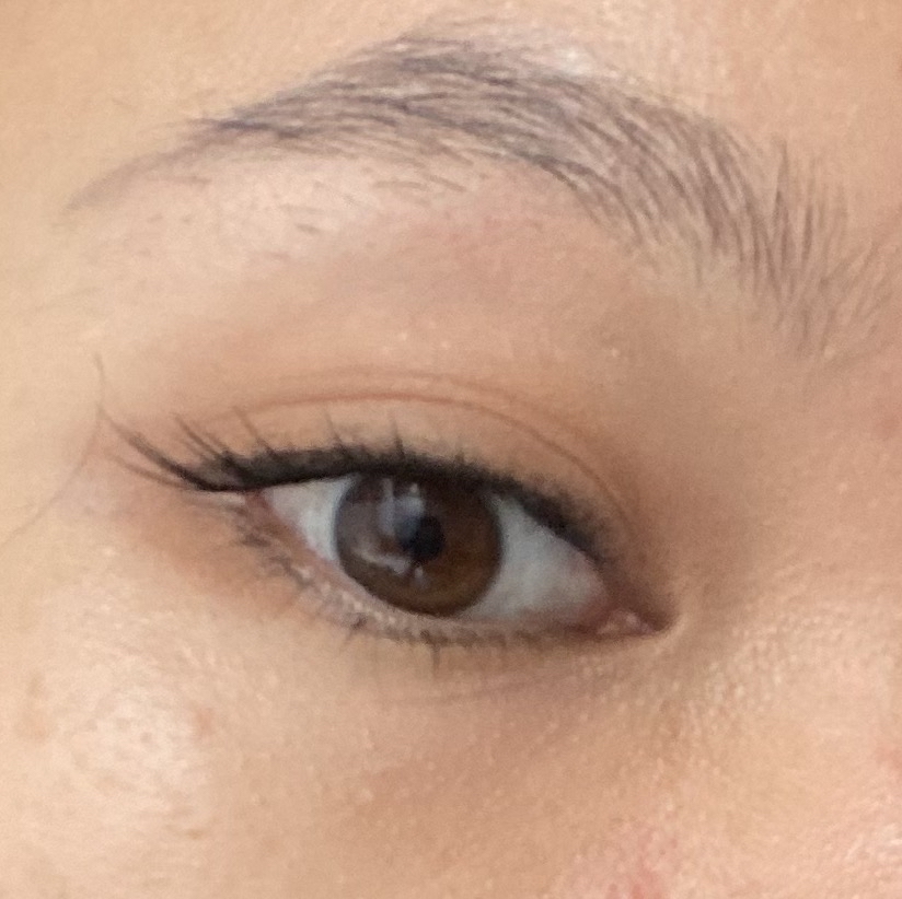 Glueless Falsies - Sunflower imgfdn-18ba47e0-46a6-42e1-bd69-9df841fe43f5