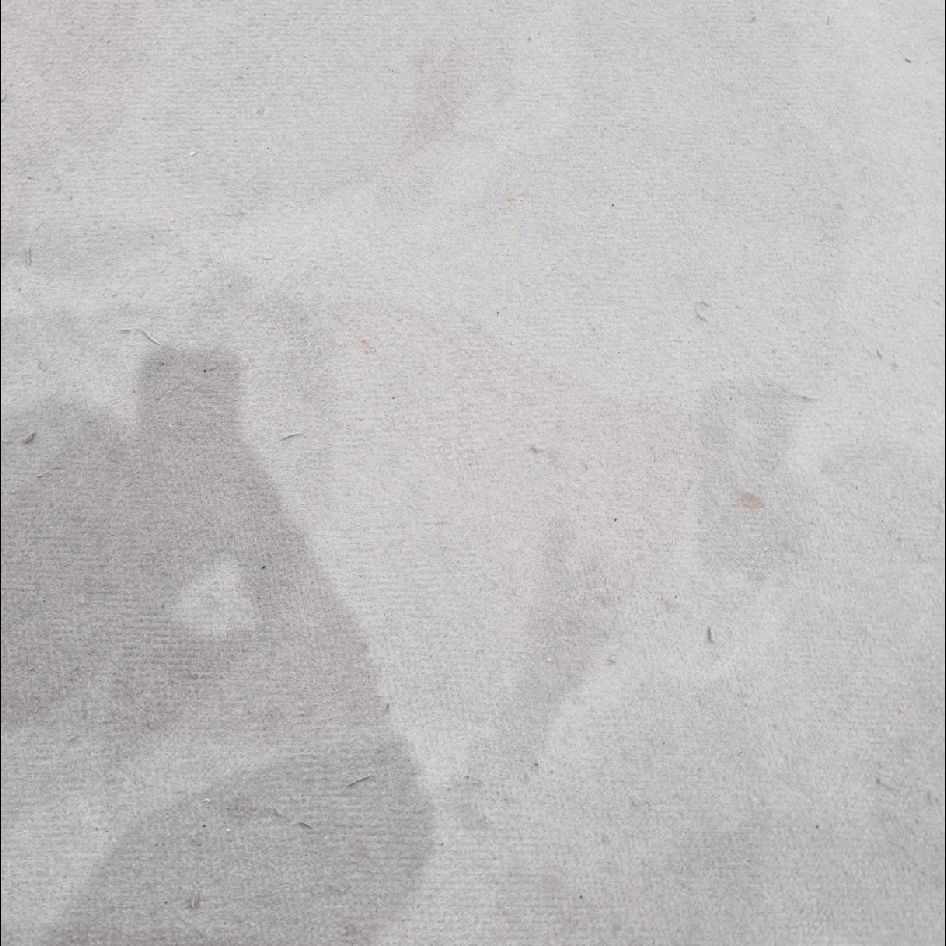 Philea imgfdn-22376f0d-223b-42da-af74-95528939dabf