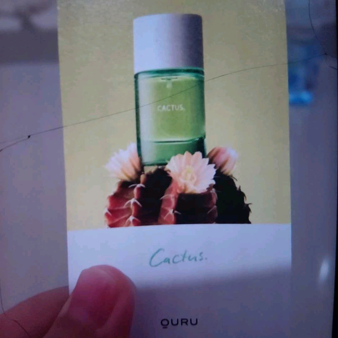 OURU Cactus Extrait de Parfum imgfdn-f66773c7-6043-4399-9756-dd1d91ef3daa