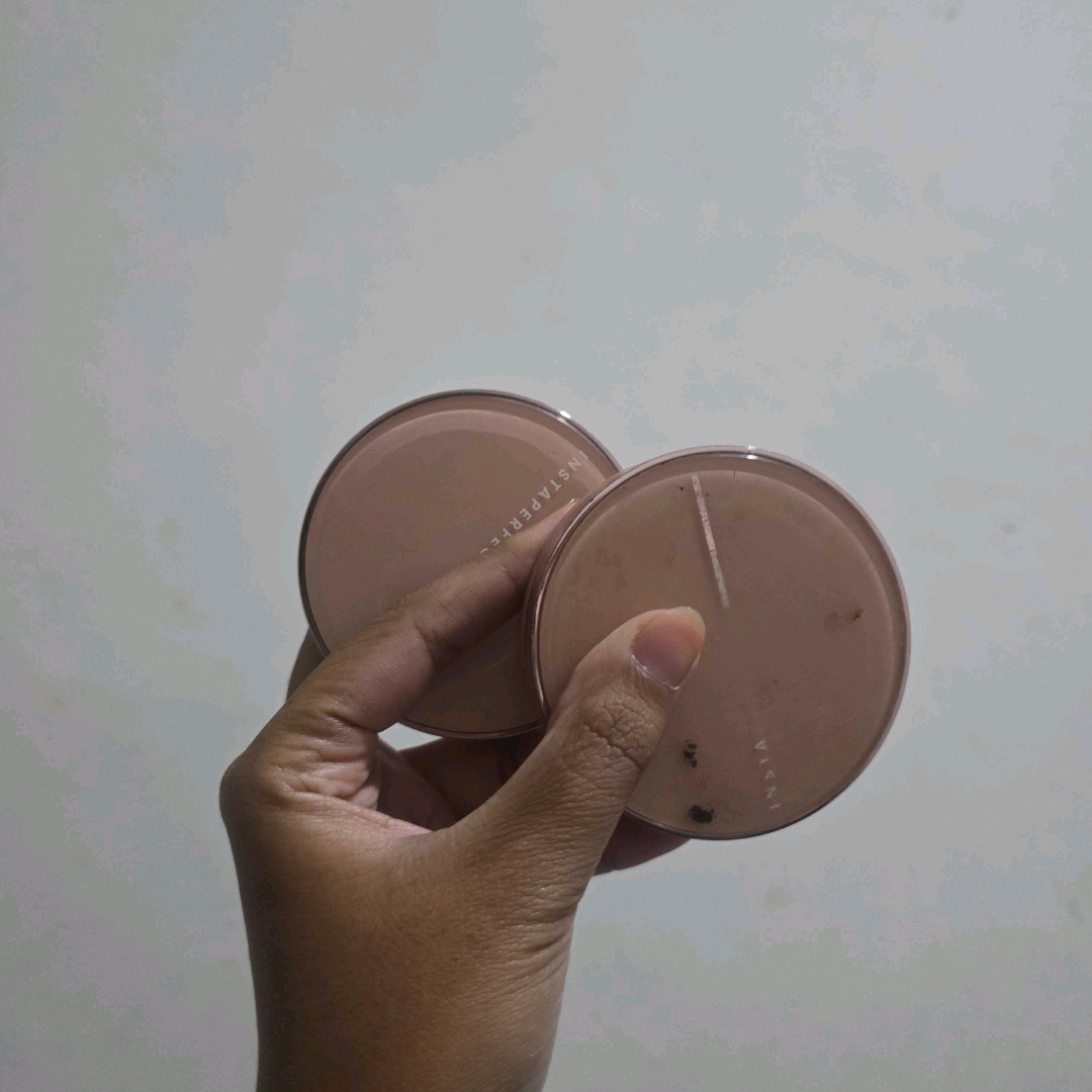 Skincover Air Cushion - N42 Sienna Sand imgfdn-3acc870e-ebaa-438a-a82f-1e77e7aa0630