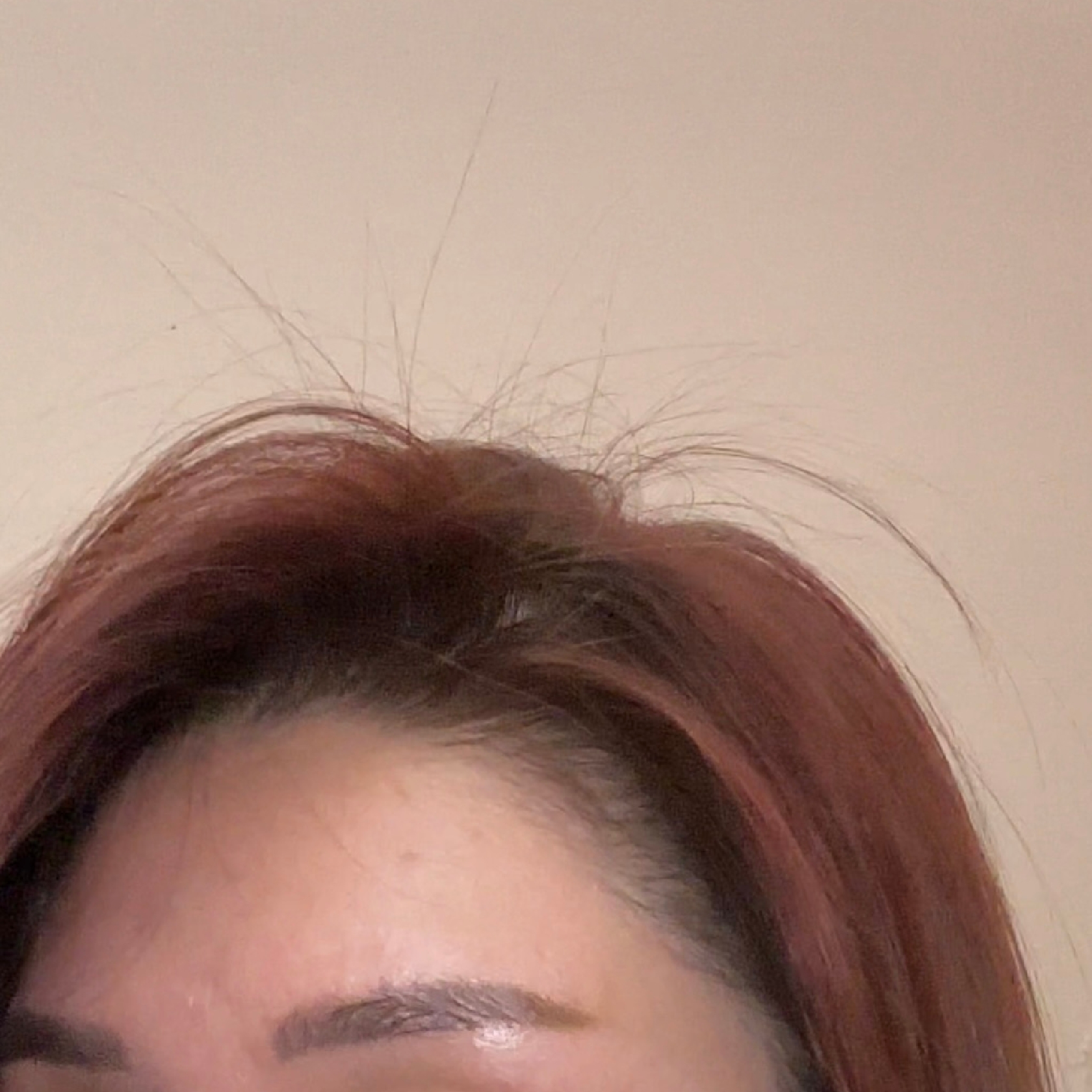 Drop Dead Growgeous Densifying Hair Growth Shampoo imgfdn-c0b48e84-a8e2-47ec-9738-0d414d407279