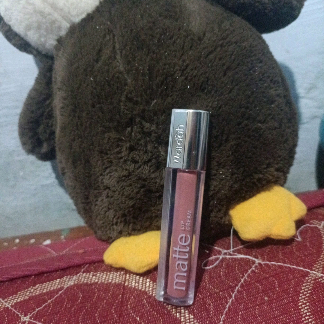 Exclusive Matte Lip Cream - 19 Have a Blush! imgfdn-759f2be8-afb1-4d95-851a-25d0b1b57082