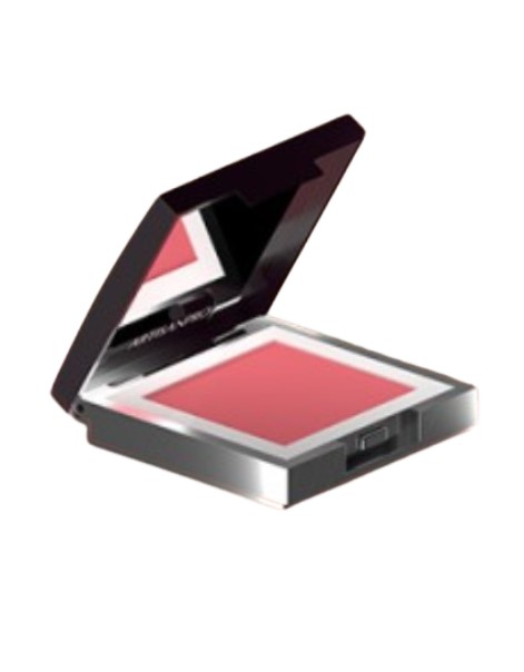 Artisan Professionnel Couleur Optimiste Pro Face Colour Blush On 02 Venus