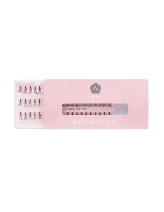 Eyelash Volume