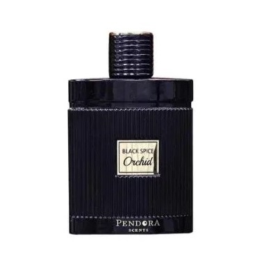 Black Spice Orchid