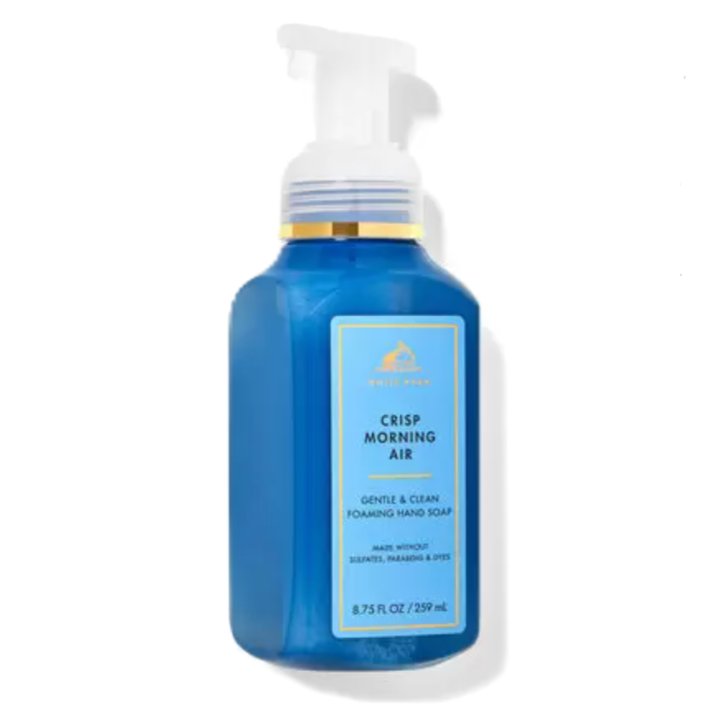 Gentle & Clean Foaming Hand Soap